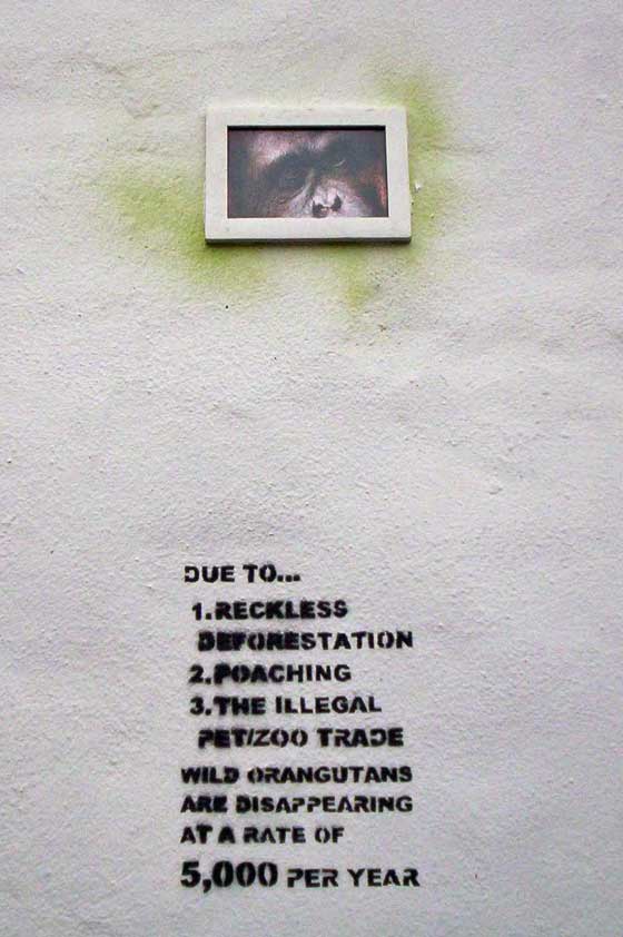 mag1c | bristol | monkey | ukingdom