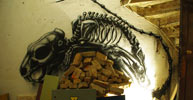 roa | london | ukingdom (15 votes)
