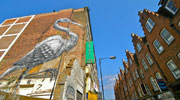 roa | bird | big | london | ukingdom (24 votes)
