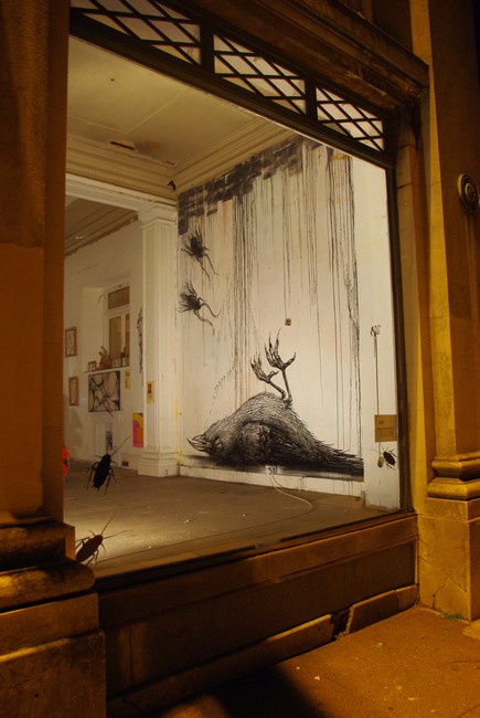 roa | brighton | bird | ukingdom