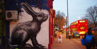 roa | rabbit | london | ukingdom (15 votes)