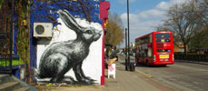 roa | rabbit | london | ukingdom (12 votes)