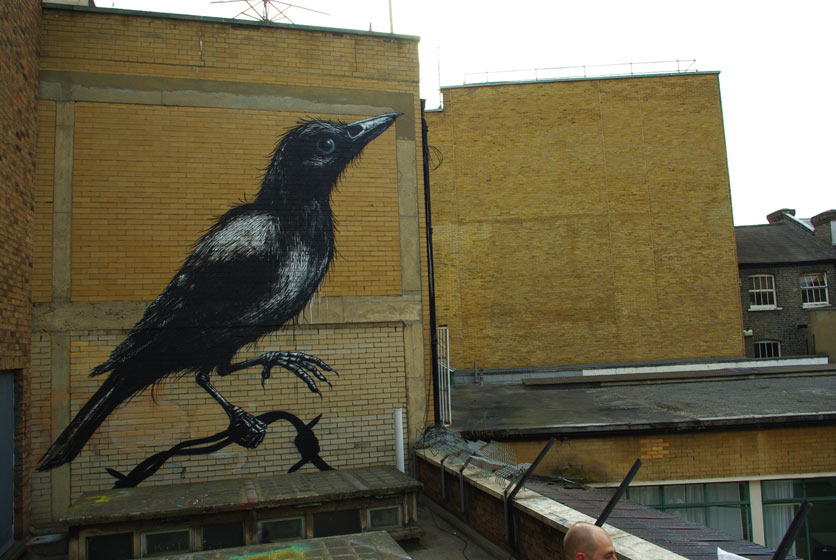 roa | rooftop | bird | london | ukingdom