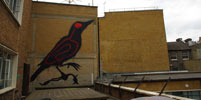 roa | rooftop | bird | london | ukingdom (16 votes)