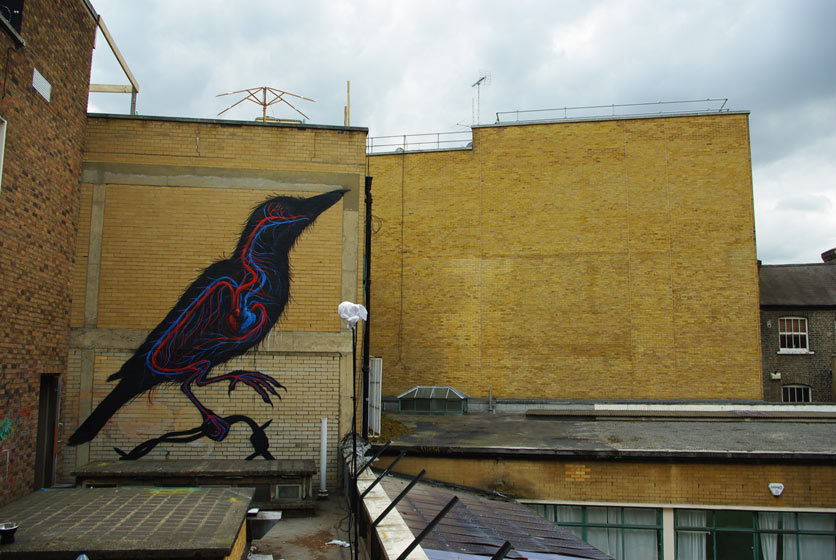 roa | rooftop | bird | london | ukingdom