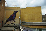 roa | rooftop | bird | london | ukingdom (18 votes)
