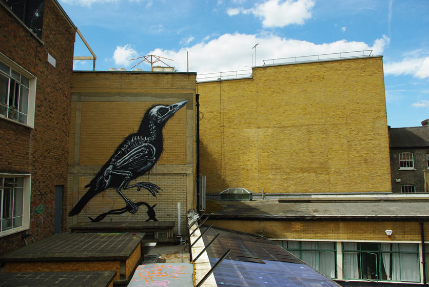 roa | rooftop | bird | london | ukingdom
