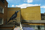 roa | rooftop | bird | london | ukingdom (15 votes)
