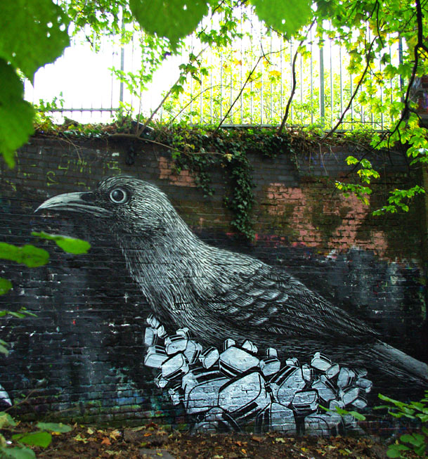roa | toaster | bird | london | ukingdom