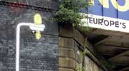 mreggs | manchester | ukingdom (3 votes)