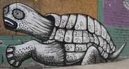 phlegm | turtle | sheffield | ukingdom (11 votes)