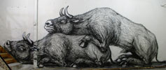 roa | pure-evil-gallery | london | ukingdom (17 votes)