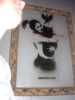 banksy | fabrikclub | london | ukingdom (3 votes)