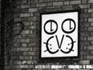 fontface | cat | london | ukingdom (16 votes)
