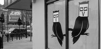 fontface | elmo | bird | london | ukingdom (48 votes)