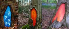mag1c | bristol | tree | ukingdom (5 votes)