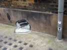 mooe | toaster | london | ukingdom (1 vote)