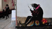 paul-insect | london | ukingdom (33 votes)