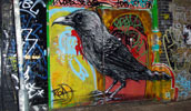 roa | bird | london | ukingdom (16 votes)