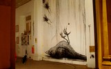 roa | brighton | bird | ukingdom (12 votes)