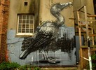 roa | brighton | bird | ukingdom (13 votes)