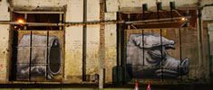 roa | pig | london | ukingdom (32 votes)