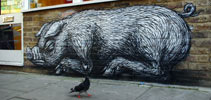 roa | pig | london | ukingdom (15 votes)
