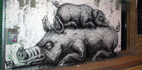 roa | pig | london | ukingdom (14 votes)
