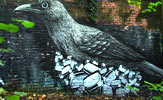 roa | toaster | bird | london | ukingdom (11 votes)