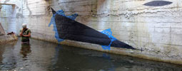 7906 | water | black-circle-festival | ukraine (55 votes)