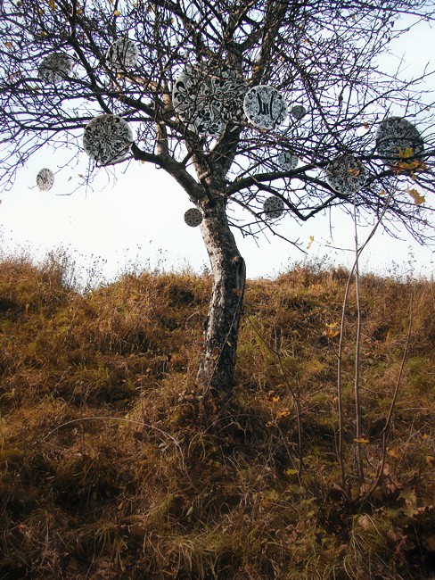 m-h | kolomyja | tree | ukraine