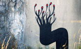 m-h | lviv | ukraine (13 votes)