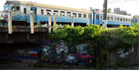 azo | jajo | kiev | ukraine (37 votes)