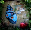 13one | navostok | ukraine (17 votes)