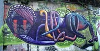 apl | fat315 | odessa | ukraine (48 votes)