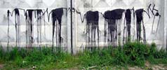 kena | ukraine | black | drips (16 votes)