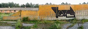 teck | error | samijluchi | ukraine (45 votes)