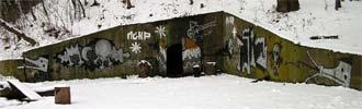 lodek | psiakrew | kiev | snow | ukraine (18 votes)