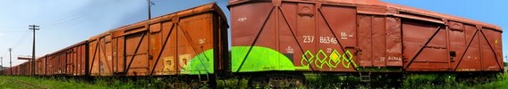 slick | york | error | -89- | lutsk | freight | green | ukraine (61 votes)
