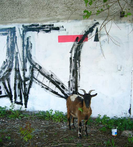 zuev | fat315crew | ukraine