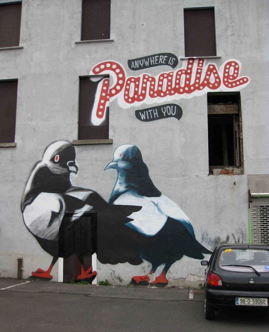 espo | dublin | pigeon | various