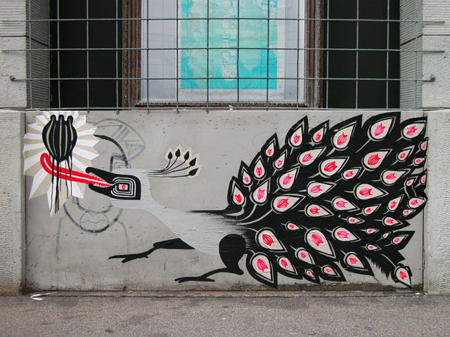 tika | zurich | bird | switzerland | various