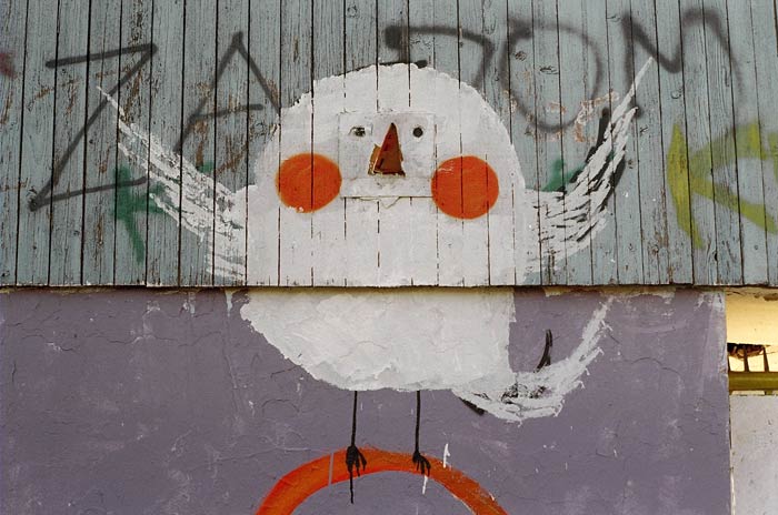 aorta | vinkovci | croatia | bird | balkans