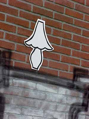 ckoe | netherlands
