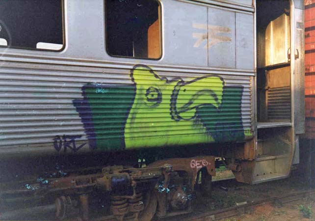 geg | bird | train | brazil | various