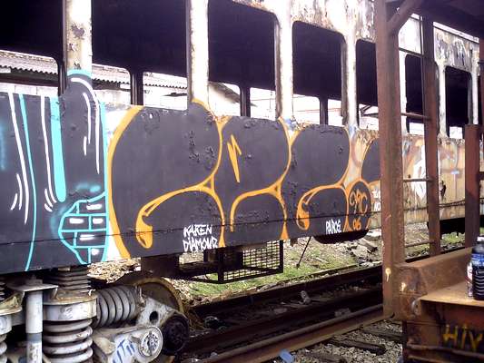 geg | trashtrain | brazil | various