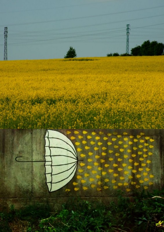 illuzm | slovakia | yellow | various