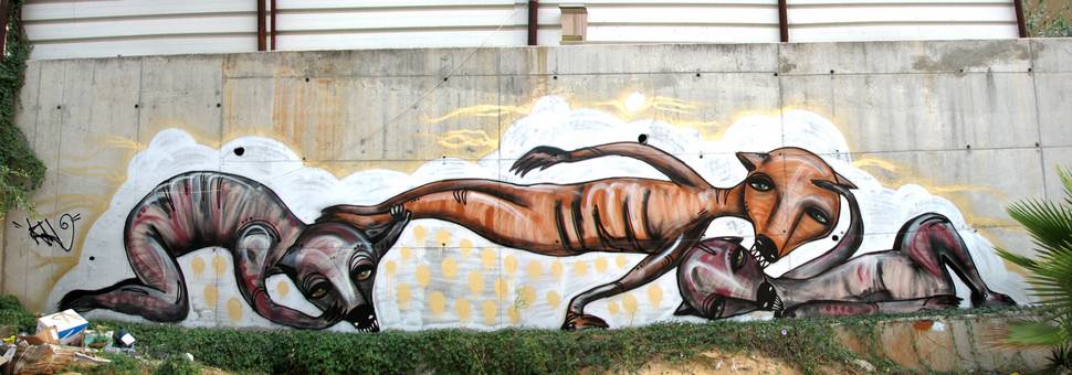 klone | dog | tel-aviv | various
