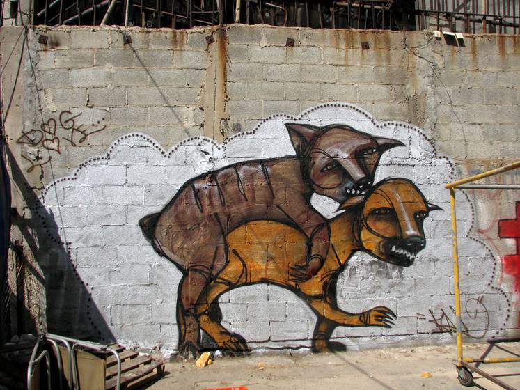 klone | dog | tel-aviv | various