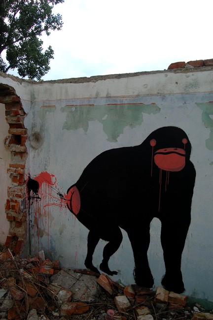 mako | monkey | slovakia | various